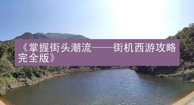 《掌握街头潮流——街机西游攻略完全版》